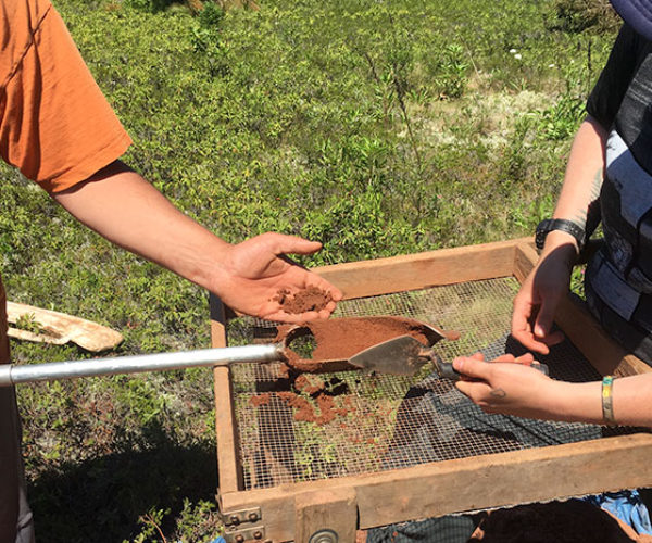 sifting through dirt in search for paleo indian artifacts